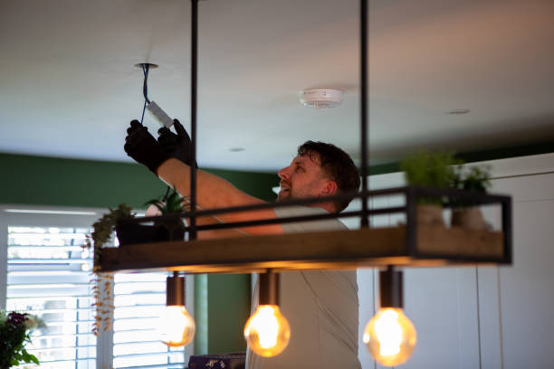 Best Local Electrician Companies  in Springville, IA